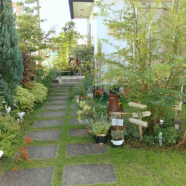 michi-michi39さんの実例写真