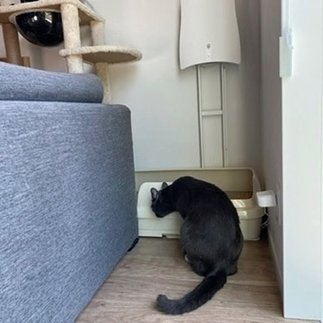 zm3443さんの実例写真