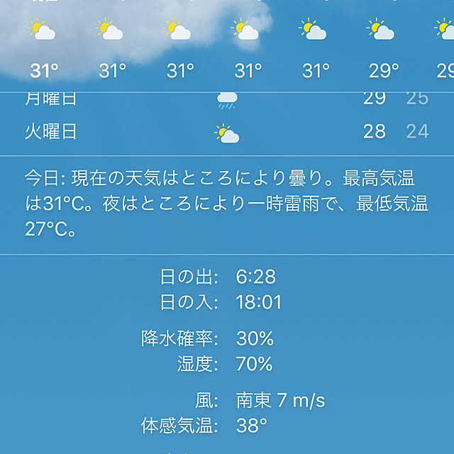 実例写真