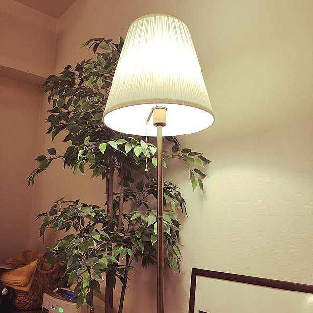 Locosさんの部屋