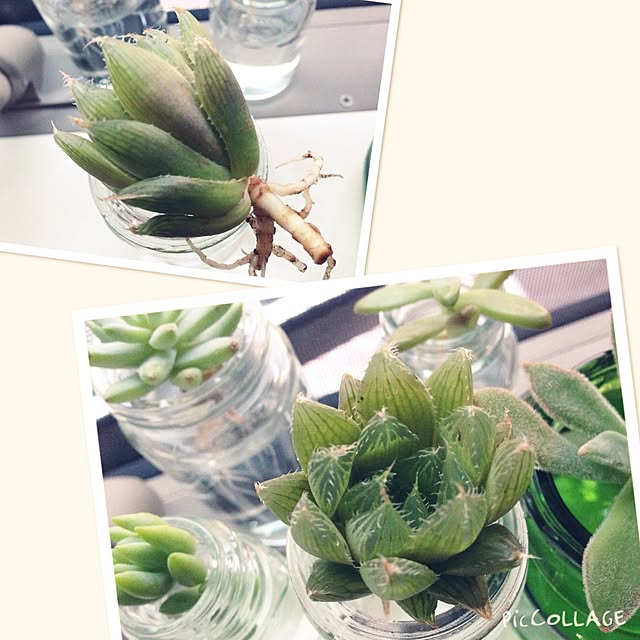 ecoさんの実例写真