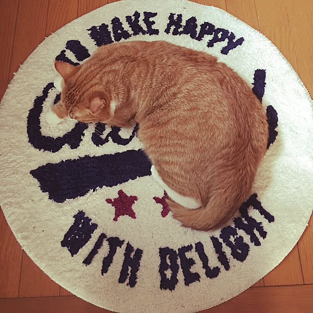 CATさんの実例写真