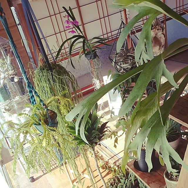 takenさんの実例写真