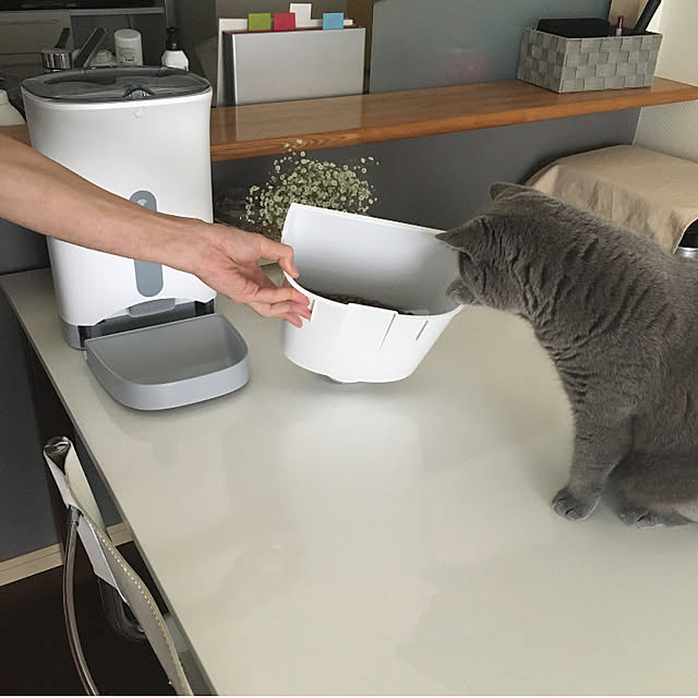 kittyさんの実例写真