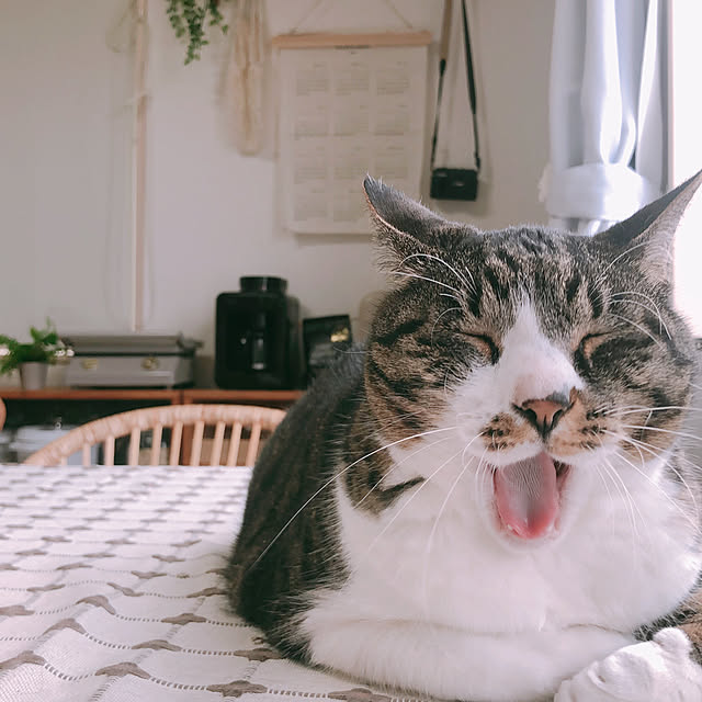 milkcocoaさんの部屋