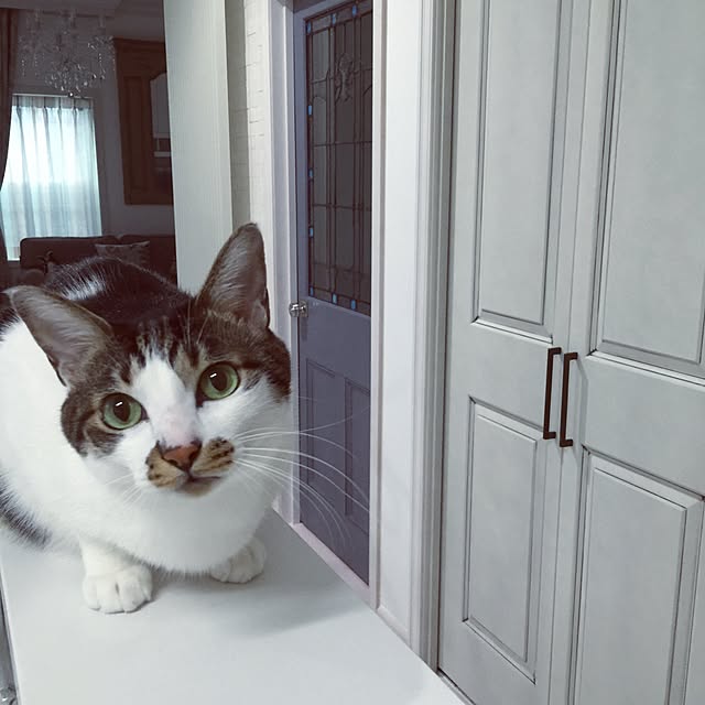 yuchiさんの実例写真
