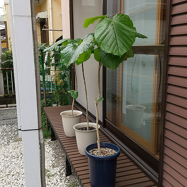 Renさんの実例写真