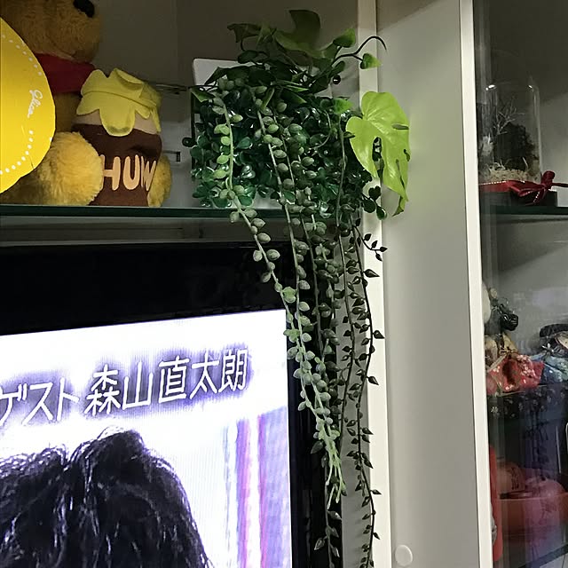 masamiさんの実例写真