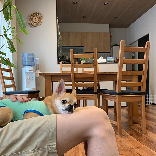 totaryuさんの部屋