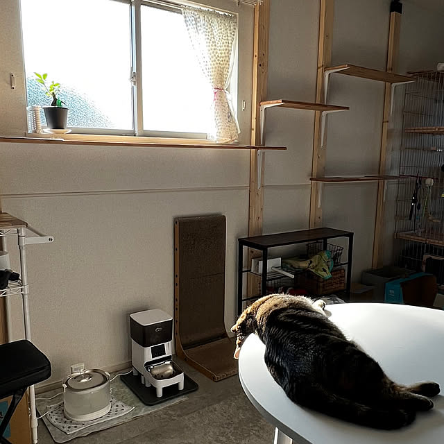 karinさんの実例写真