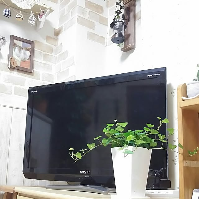 naopyiさんの実例写真