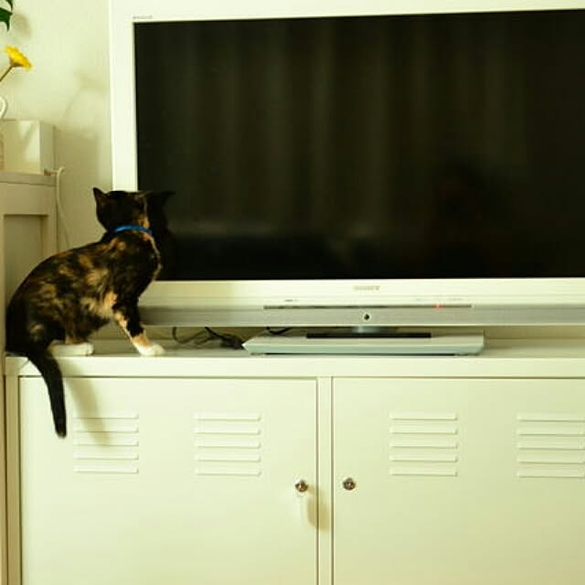 naopunさんの実例写真