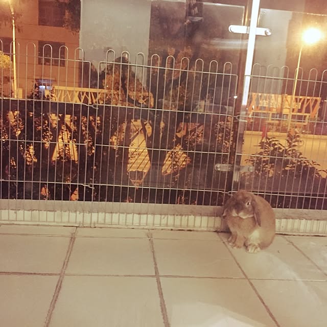 MARIさんの実例写真