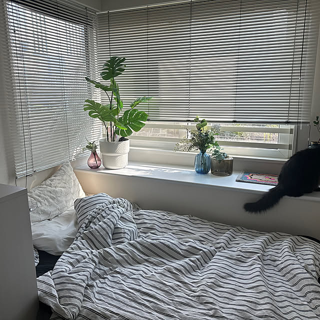 ベッド周り/IKEA/ブラインド/花瓶/フラワーベース...などのインテリア実例 - 2024-09-18 09:57:49