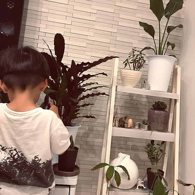 riakanaさんの実例写真
