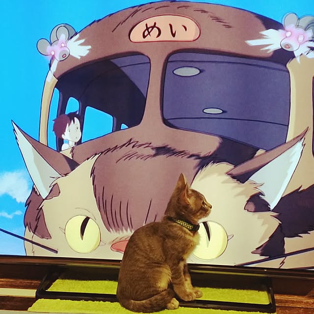 oyumiさんの実例写真
