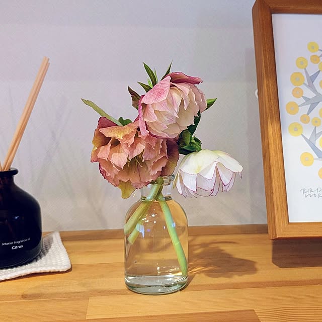 tabasaさんの実例写真