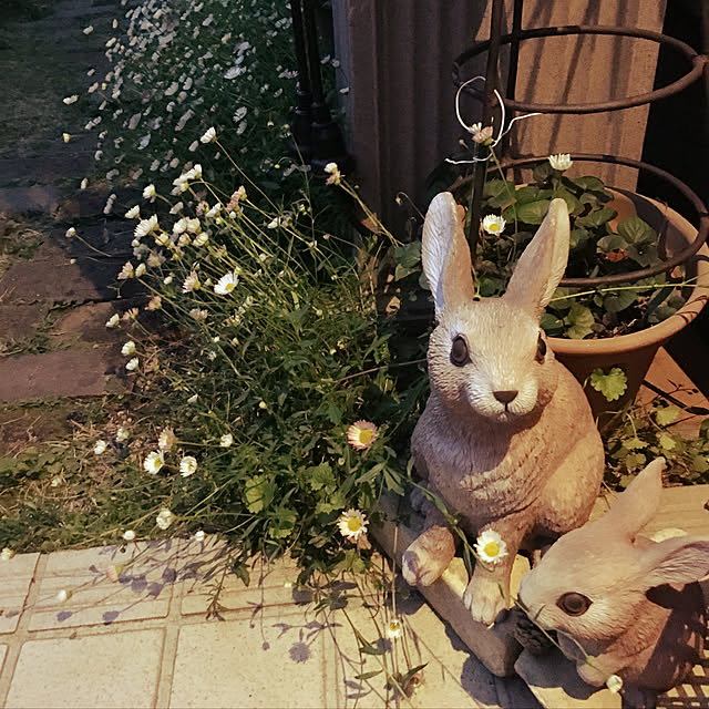 frostyさんの実例写真