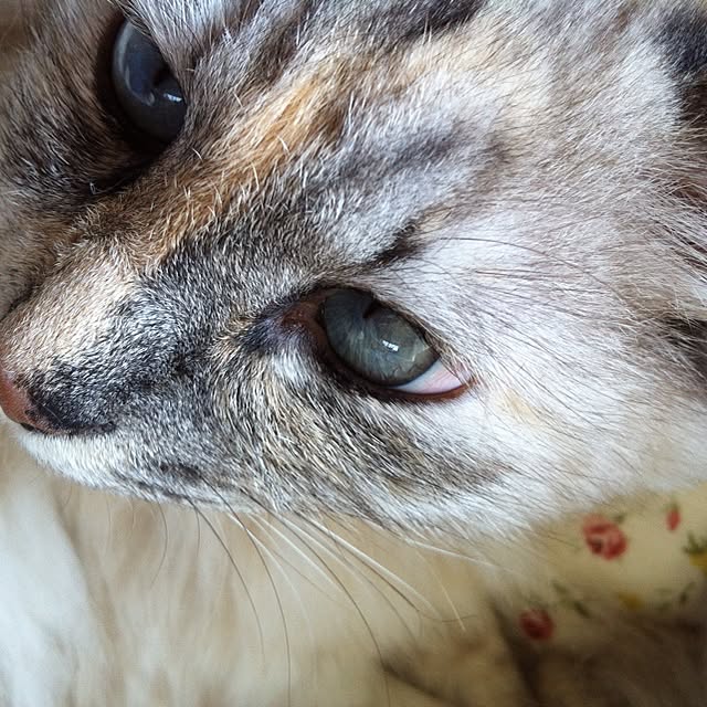 yunagonnomamaさんの実例写真