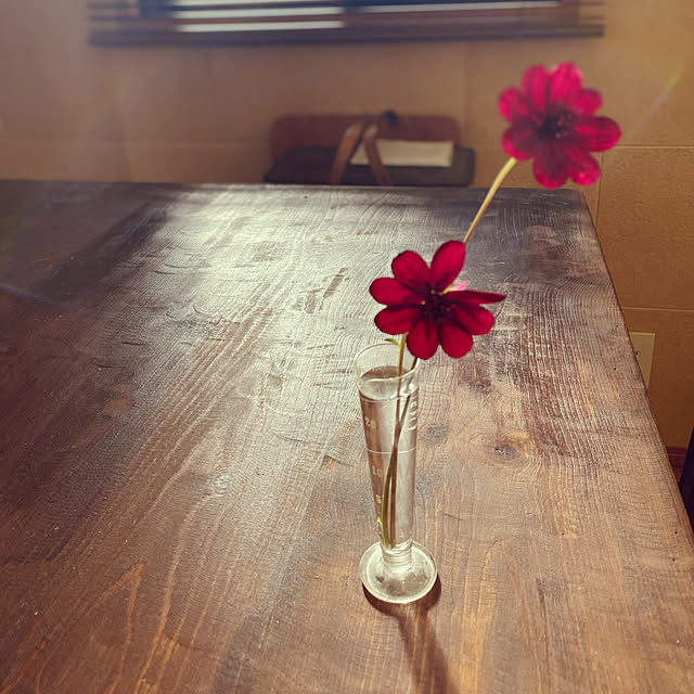 木製家具/アンティーク/DIY/リメイク/植物...などのインテリア実例 - 2022-07-17 23:29:38
