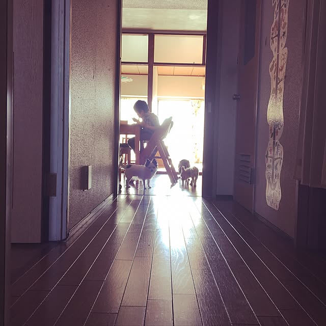 ohanaさんの実例写真