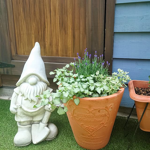 ponchanさんの実例写真