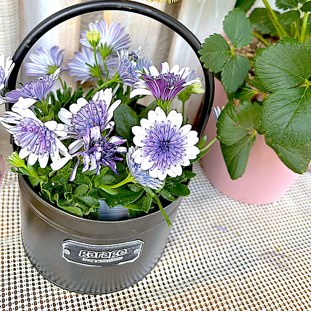 syutmmさんの部屋