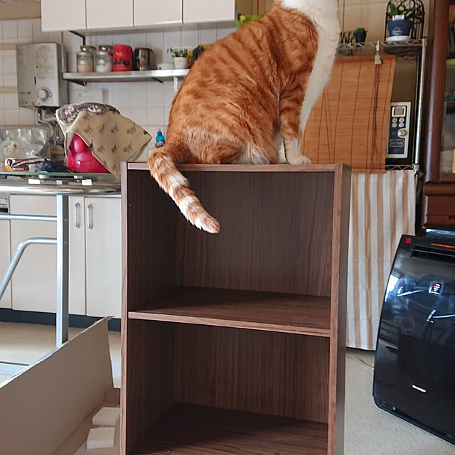 LaLaさんの実例写真