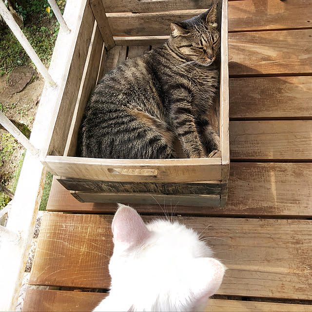 weさんの実例写真