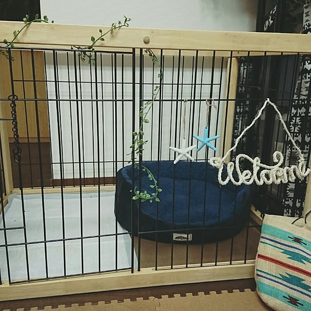 Ryocoさんの実例写真