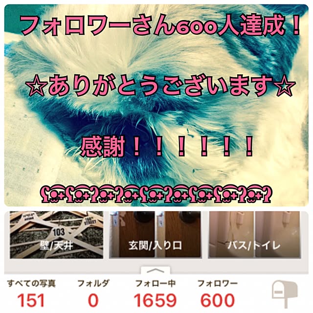 lenkaさんの実例写真