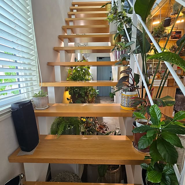 nonbiri_house_さんの部屋