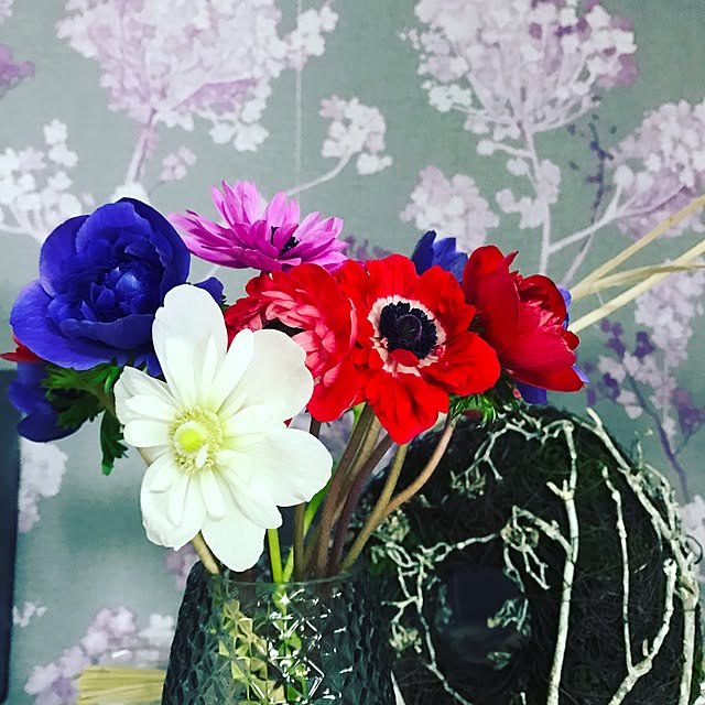 Yokoさんの実例写真