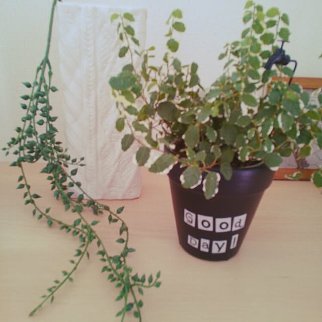 minさんの実例写真