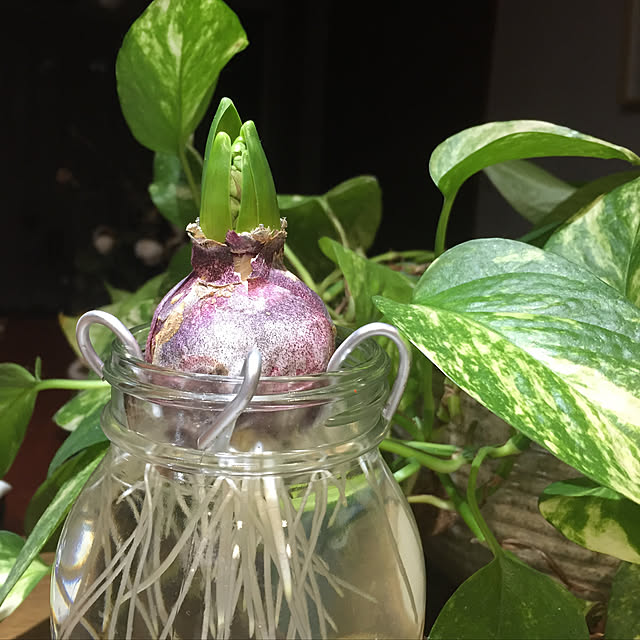 buchiさんの実例写真
