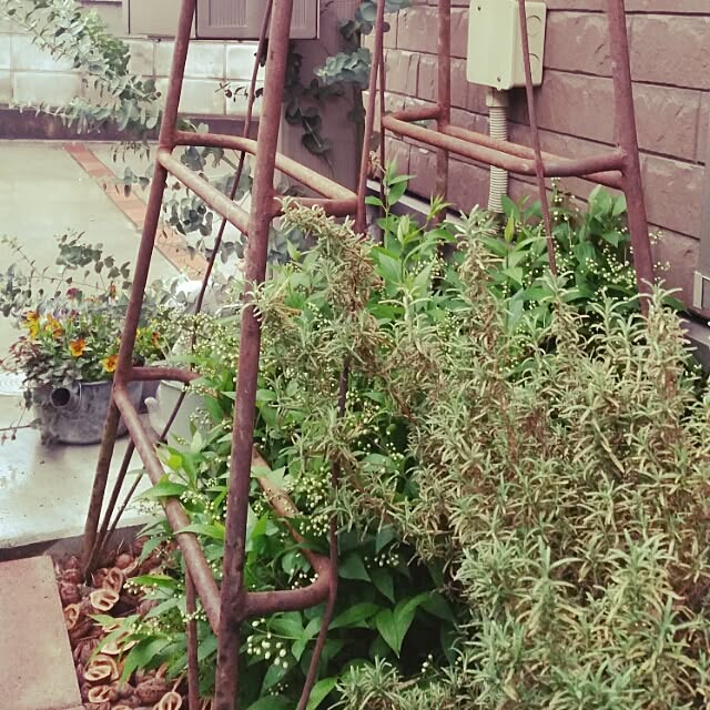 RuRuさんの実例写真
