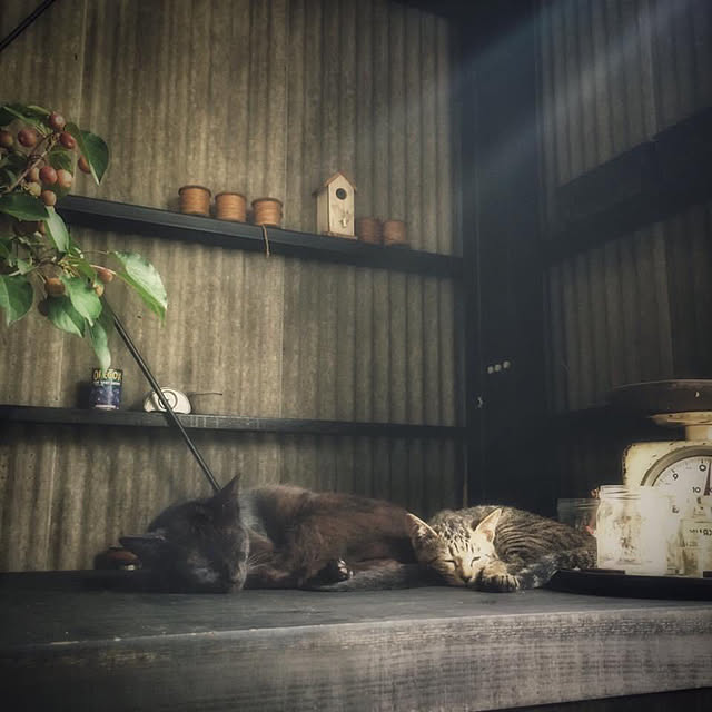 weさんの実例写真