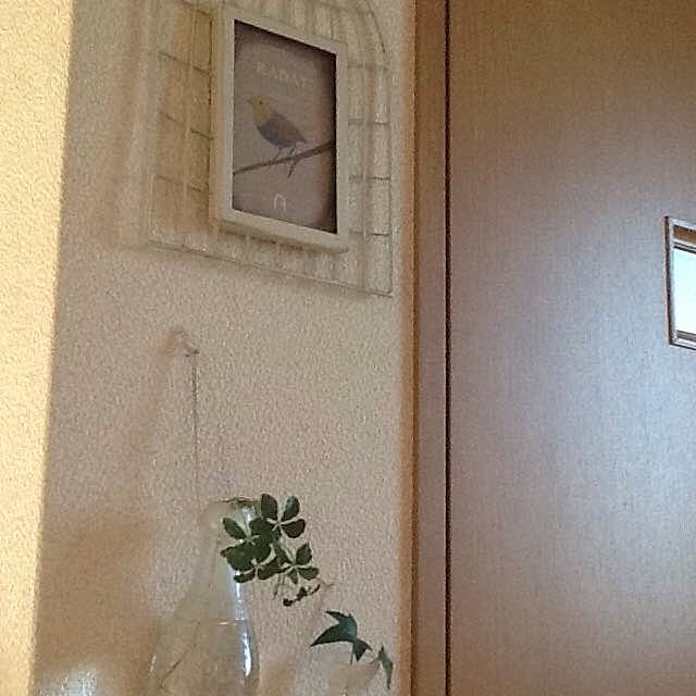 Mikaさんの実例写真