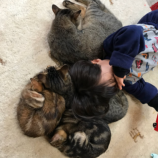 pepeさんの実例写真