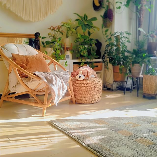 YuriYuriさんの部屋