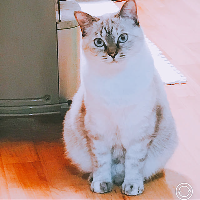 nachuさんの実例写真