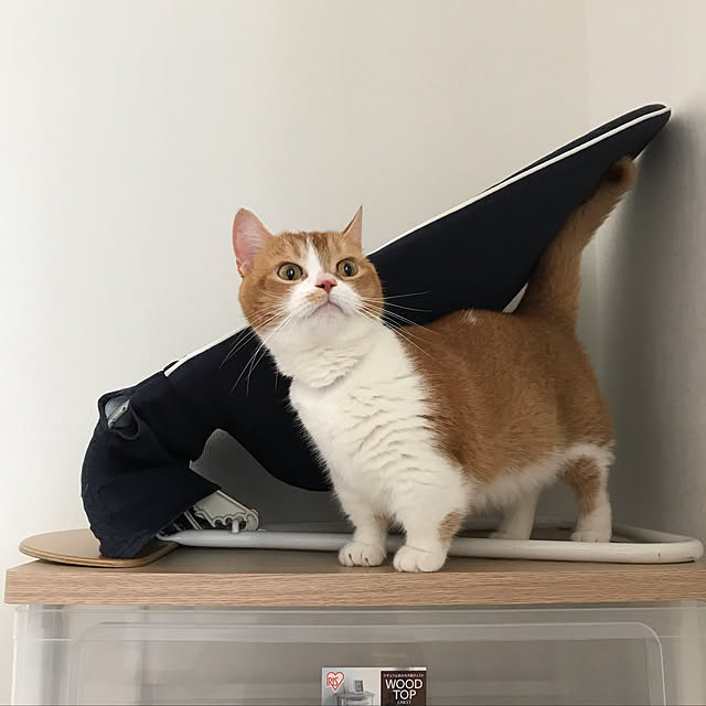 KotarouKunさんの実例写真