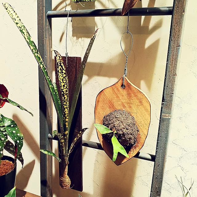 rimoleoさんの部屋