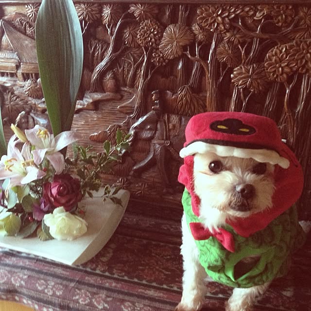 chiiico.yuko.さんの実例写真