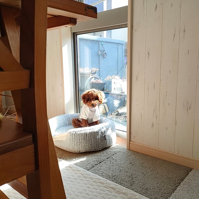 teamoさんの部屋