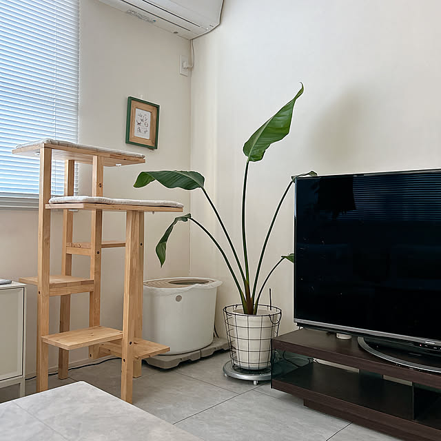 mako2yaさんの部屋