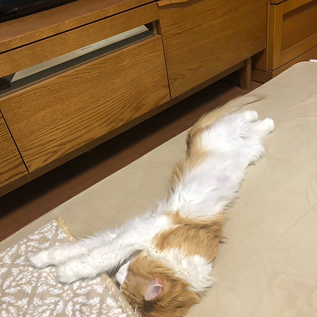uchidaizuさんの部屋