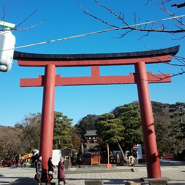 Sukeさんの実例写真