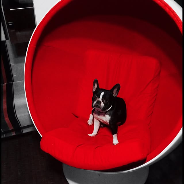 87さんの実例写真