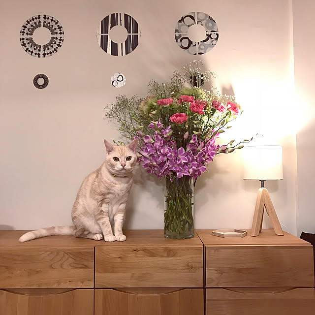 hiyupan88さんの実例写真
